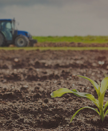 کمیسیون کشاورزی و صنایع تبدیلی