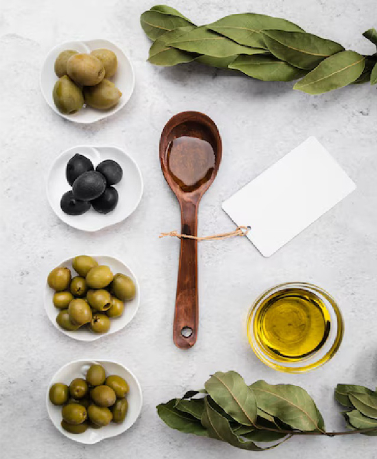 انجمن زیتون